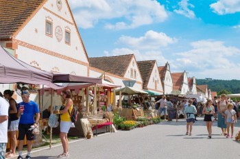 В Праге велосипедист под наркотиками устроил погоню с полицией: видео