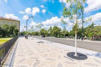 Ученые попросили жителей и гостей Праги ответить, где в городе жарче всего