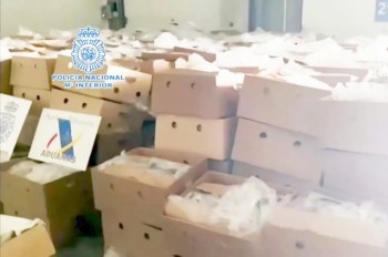 В Испании полиция нашла в коробках с бананами 9,5 тонн кокаина