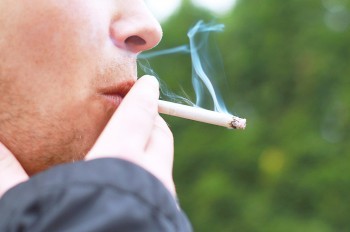 Прага ввела временный запрет на курение и разведение огня в парках