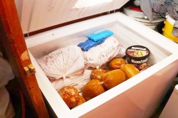 В Чехии вороватые сотрудники вынесли со скотобойни тонну мяса