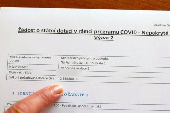 В Праге раскрыли крупное мошенничество с дотациями во время ковида