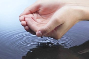 Во Франции воду в церковной купели заменили коньяком