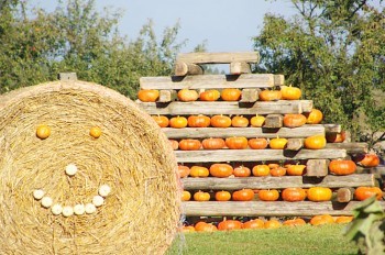 В Чехии откроется необычный парк развлечений «Тыквенный мир»