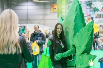 В Праге пройдет фестиваль конопли Cannafest 2023