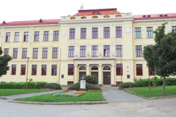 В Чехии ученик гимназии выбросился из окна во время урока