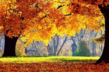 Бабье лето вернется в Чехию