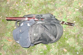 В Праге неадекватный водитель угрожал полицейским катаной