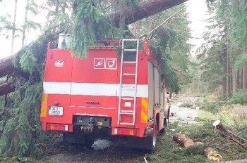 Власти призвали пражан воздержаться от посещения парков