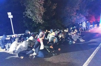 В Чехии полицейский пес покусал за лицо 4-летнюю девочку