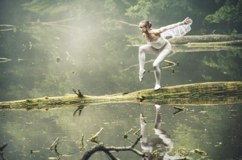 Прага запустила информационную кампанию о гибели птиц