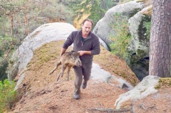 В Чехии пожарные спасли кабанов, застрявших между скалами