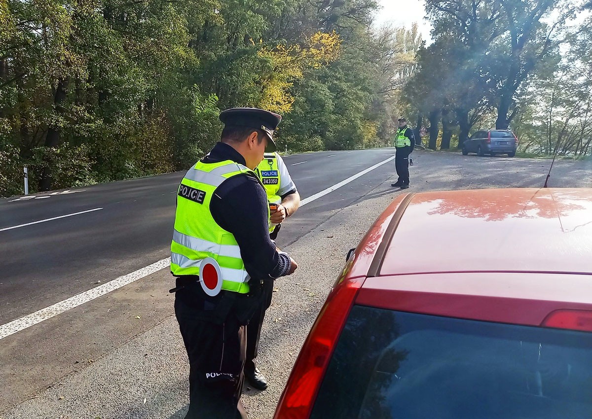 В Чехии пьяный иностранец пытался подкупить полицейских