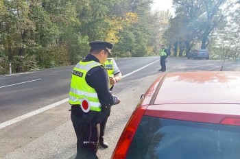 В Чехии пьяный иностранец пытался подкупить полицейских