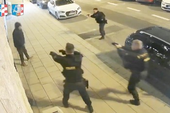 В Чехии иностранец с ножом напал на полицейских