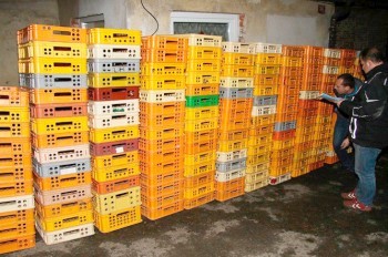 Странная кража в Чехии: работники за полгода вынесли из цеха 700 ящиков