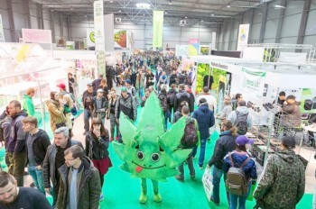 В Праге стартовал фестиваль конопли Cannafest 2024