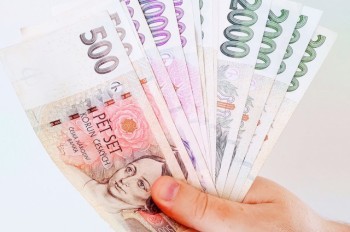 Названы страны Евросоюза с самыми высокими зарплатами