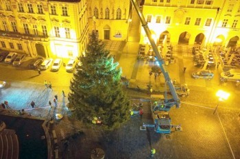 На Староместской площади Праги установили рождественскую ёлку