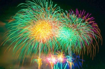 Орнитологи призвали жителей Чехии отказаться от пиротехники