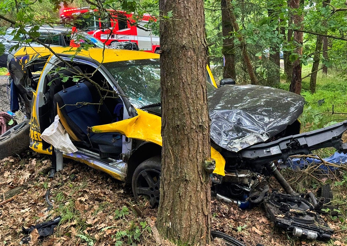 В Чехии вынесли приговор украинцу, убившему в ДТП четырех соотечественников