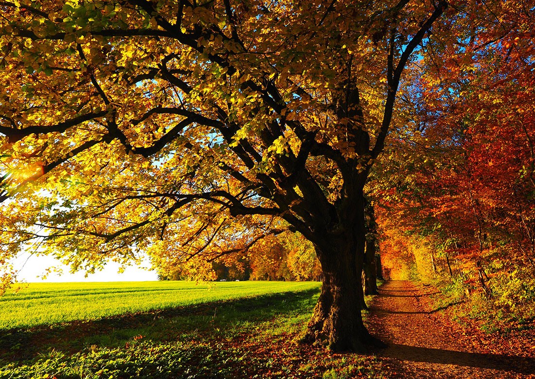 Чешские синоптики опубликовали прогноз погоды на выходные