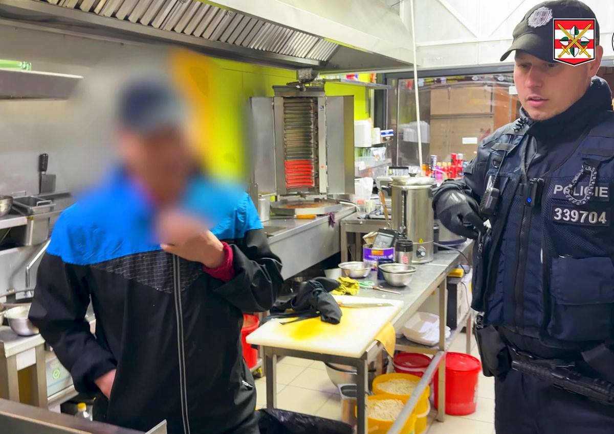 Полиция в Чехии провела масштабную проверку иностранцев: видео