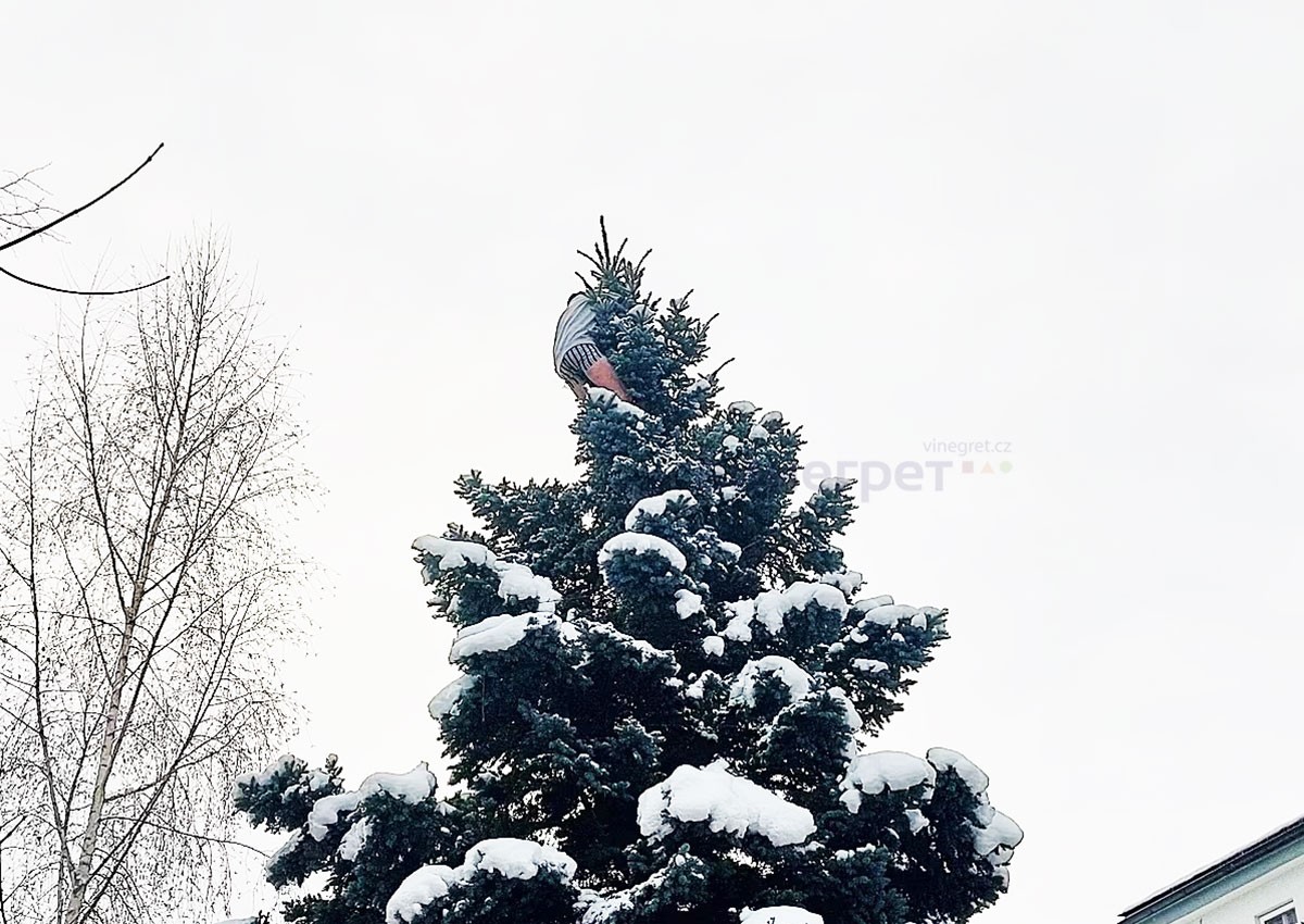 В Чехии пожарным пришлось снимать с ёлки мужчину в трусах