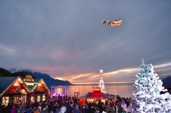 Полиция Чехии разгадала загадку оставленного в лесу велосипеда