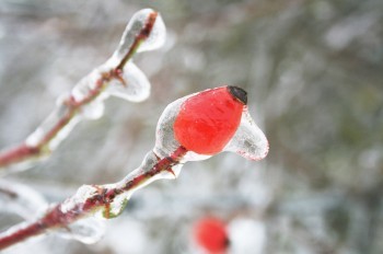 Предупреждение о гололеде объявлено в нескольких регионах Чехии