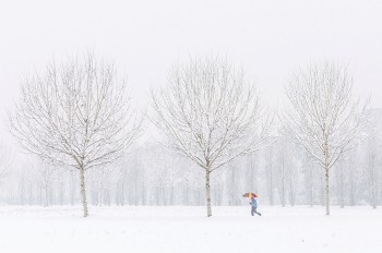 Зима уже здесь: чешские синоптики опубликовали прогноз погоды на неделю