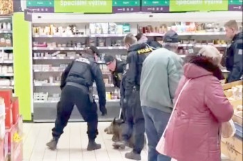 В Чехии дикий кабан забежал в продуктовый супермаркет: видео