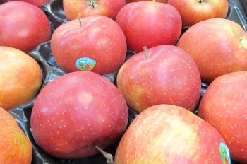 В чешские магазины попали опасные для здоровья яблоки