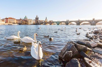 Названы самые процветающие страны мира в 2017 году