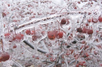 Жителей Чехии предупредили о ледяном дожде и гололедице