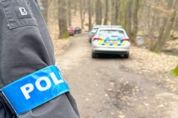 В Чехии в лесу на лавочке нашли мужчину с простреленной головой