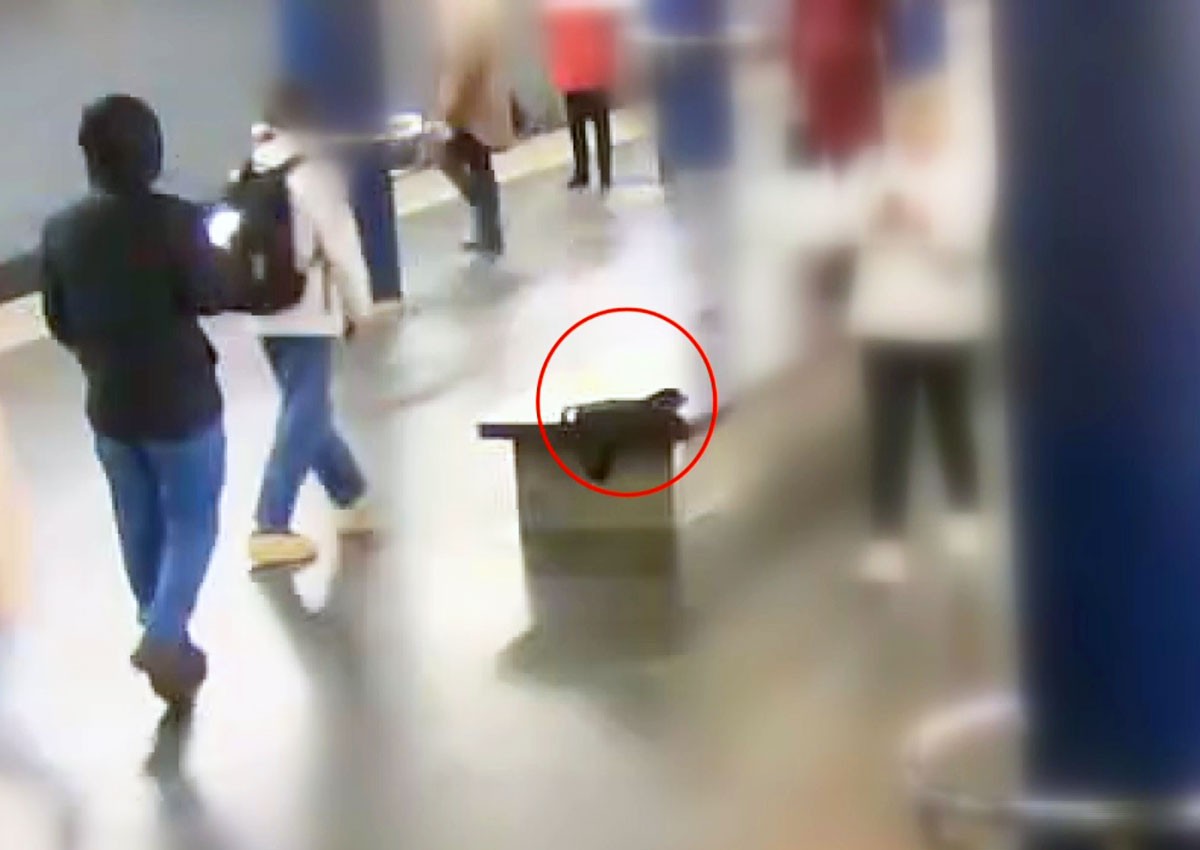 В Праге непорядочный пассажир присвоил найденный ноутбук: видео