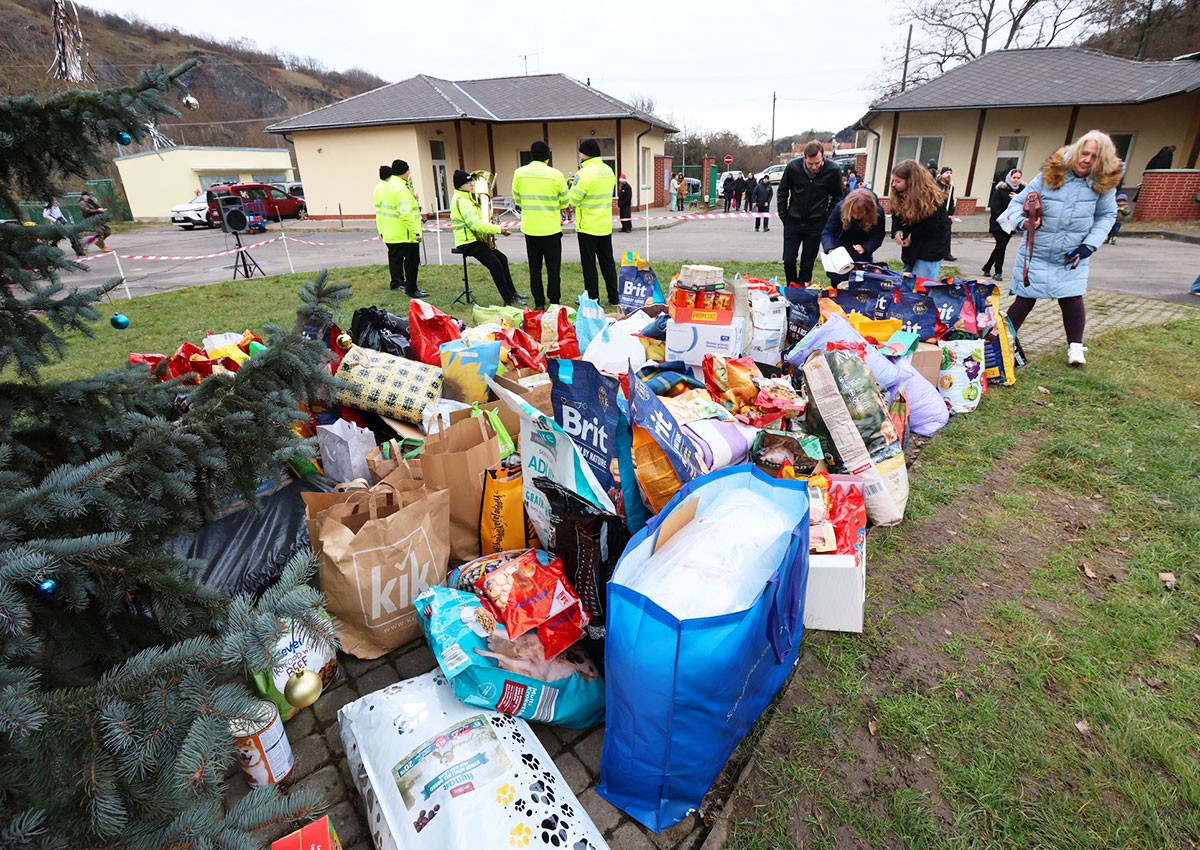 Жители Праги подарили бездомным животным на Рождество три тонны корма