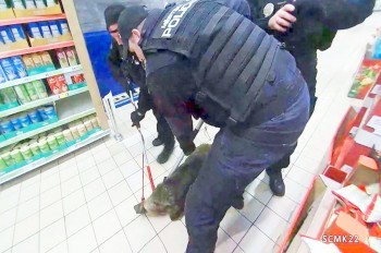 Чешская полиция показала кадры задержания кабана в супермаркете