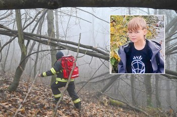В Чехии пропал 12-летний мальчик. Полиция бросила все силы на его поиски