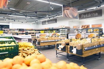 Прага дала советы владельцам собак, как снизить их стресс от пиротехники