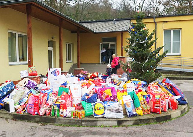 Пражане подарили бездомным собакам на Рождество полугодовой запас корма