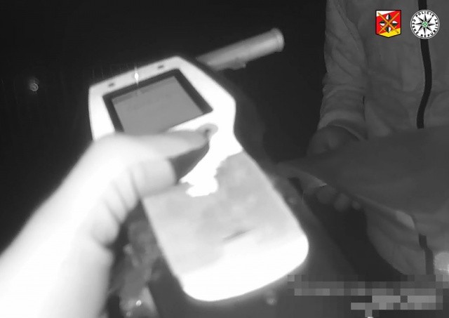 В Чехии в стельку пьяный иностранец пытался подкупить полицейских: видео