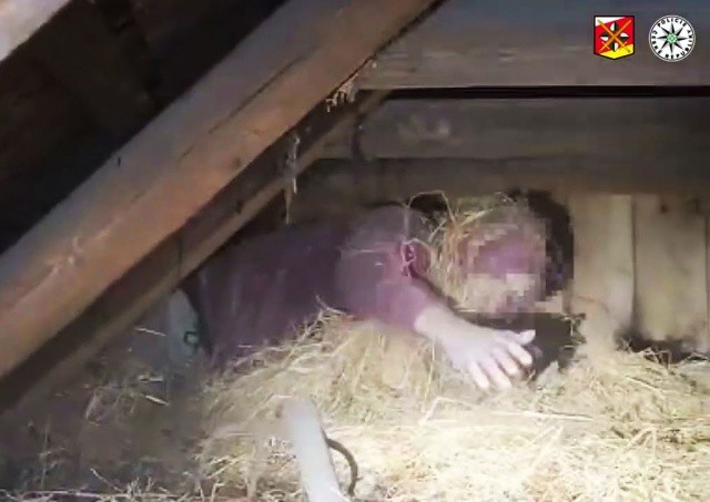 В Чехии преступник спрятался от полиции в сене: видео