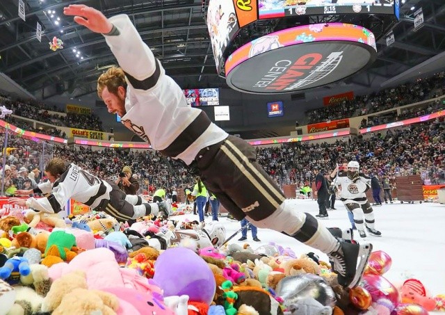Хоккейные фанаты выбросили на лед 102 тыс. плюшевых медведей: видео