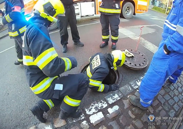 Чудо в Праге: в колодце случайно нашли собаку, убежавшую от хозяйки в новогоднюю ночь