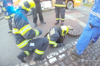 Чудо в Праге: в колодце случайно нашли собаку, убежавшую от хозяйки в новогоднюю ночь