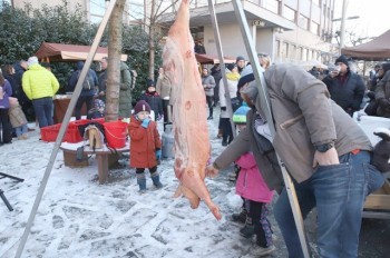 Еда и веселье: в субботу в Праге пройдет «Летенский Масопуст»