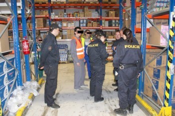 В Чехии подсчитали нелегальных мигрантов, пойманных в 2024 году