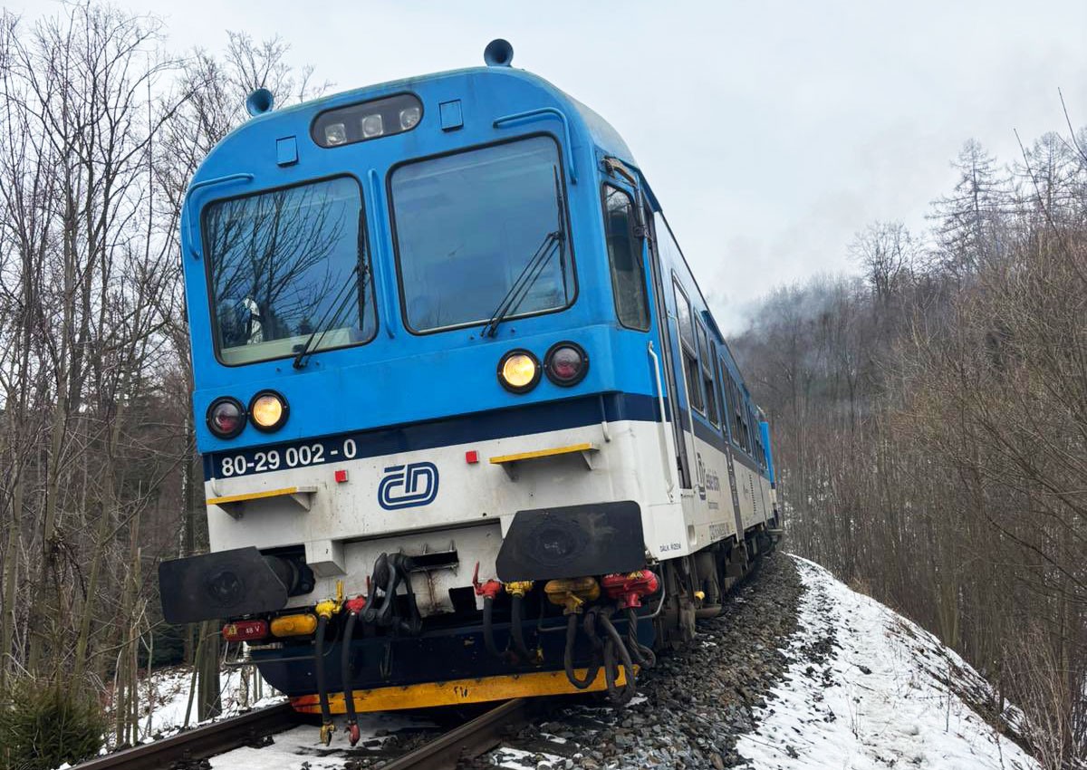 В Чехии пассажирский поезд сбил лошадь и сошел с рельсов
